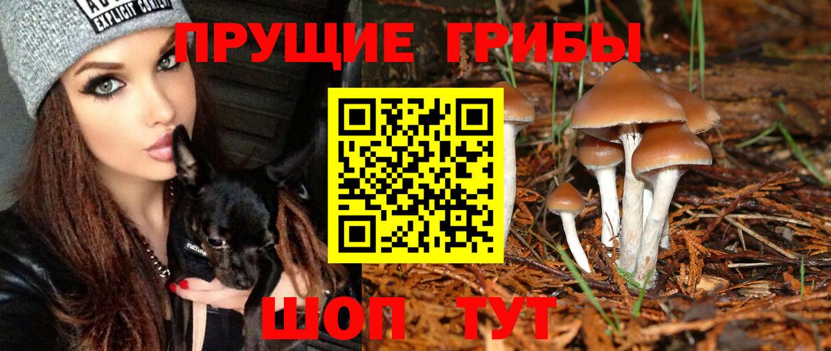 Псилоцибиновые грибы мицелий Воронеж