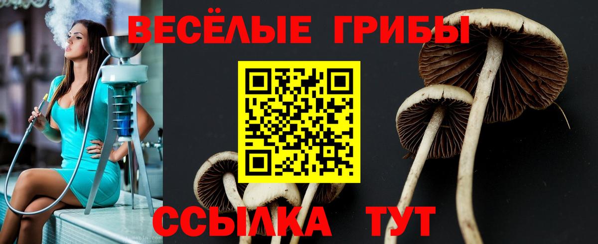 Псилоцибиновые грибы прущие грибы  Псилоцибиновые грибы Magic Shrooms  Воронеж  Вход с VPN 